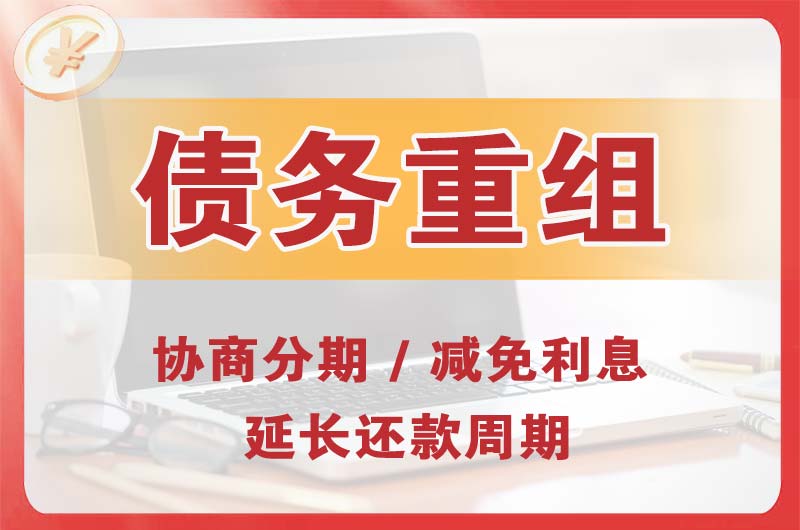 赞皇债务重组