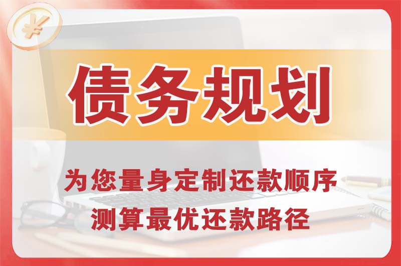 赞皇债务规划